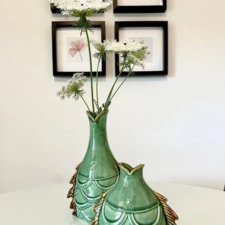 Sa Guardia De Ferricci 4*