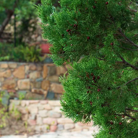 Sa Guardia De Ferricci Alojamento de Acomodação e Pequeno-almoço 4*