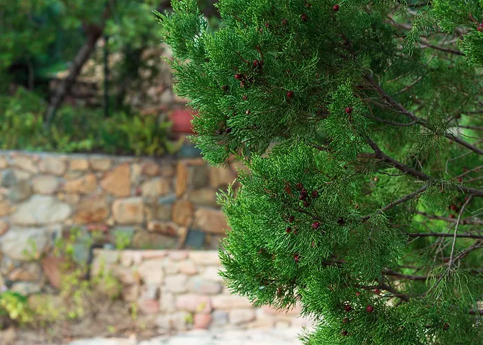 Sa Guardia De Ferricci Frühstückspension 4*